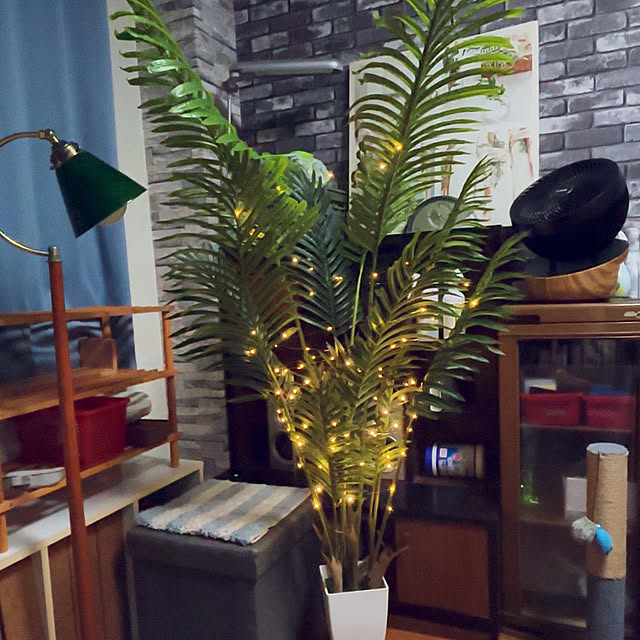 tututu0204さんの部屋