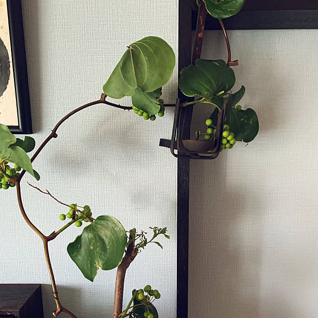 syutmmさんの部屋