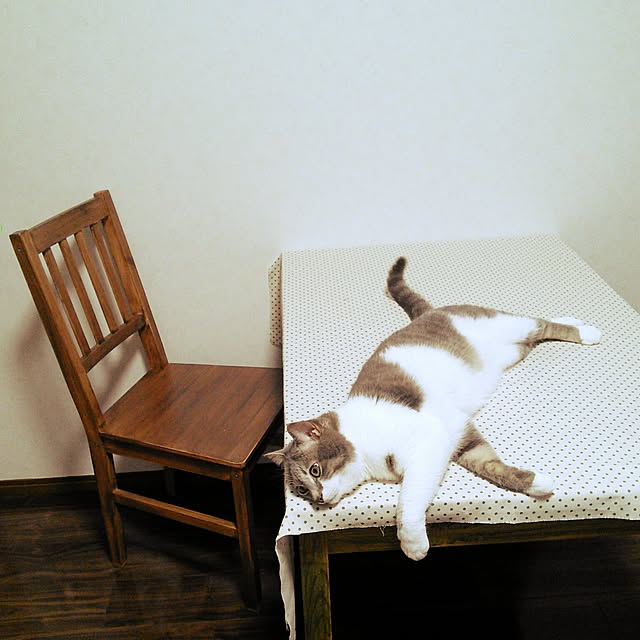 lovepandaさんの実例写真