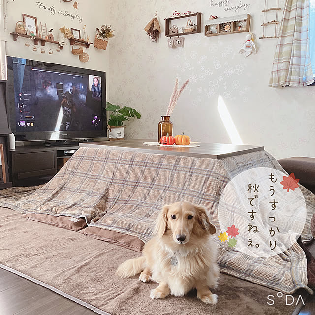 -Riley-mama.-さんの実例写真