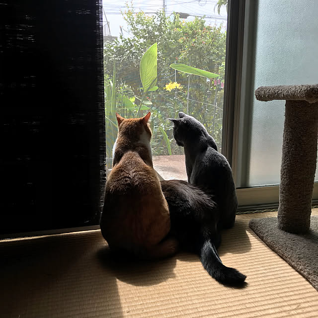 73さんの実例写真