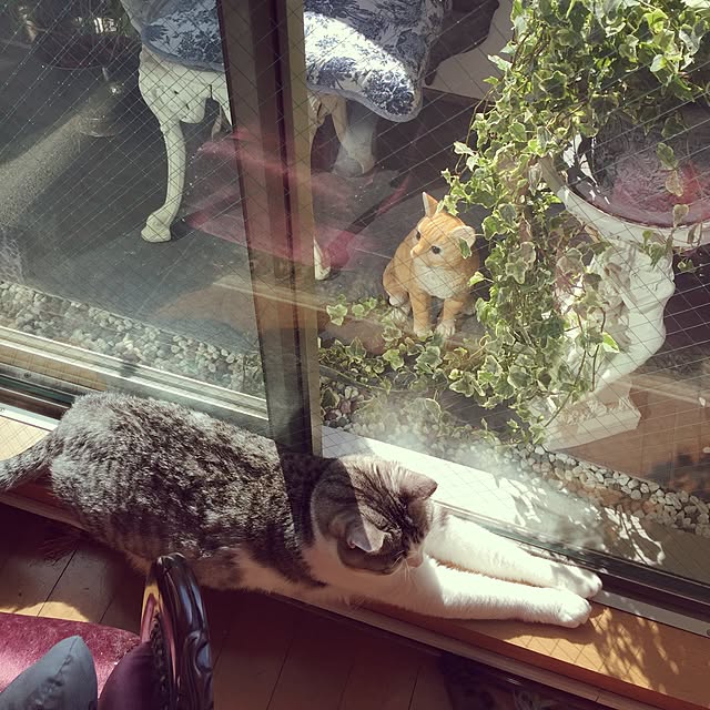 emmyyさんの実例写真