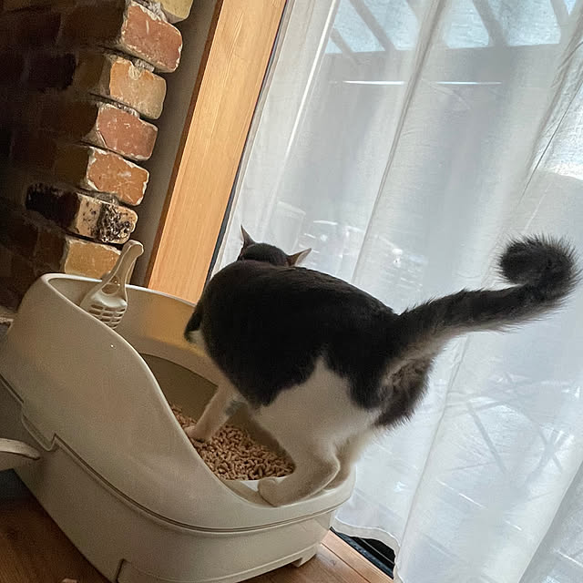nekosamaさんの部屋