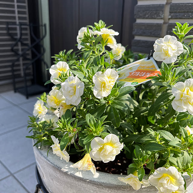tomokokoさんの部屋