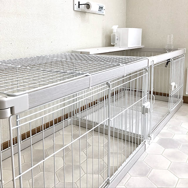 mocoさんの実例写真