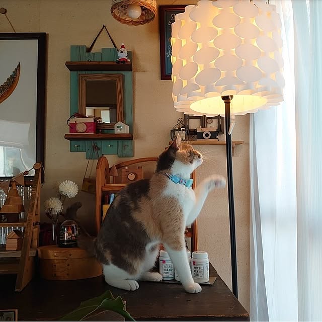 fukuさんの部屋