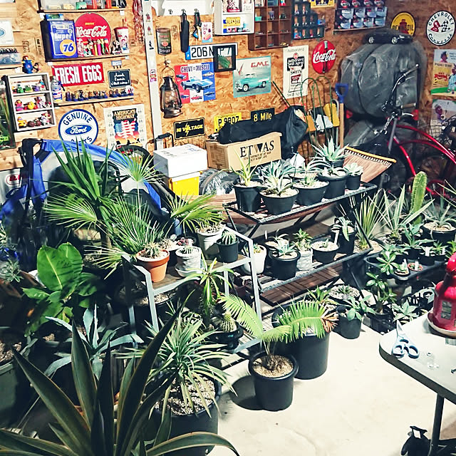ot-gardenさんの実例写真