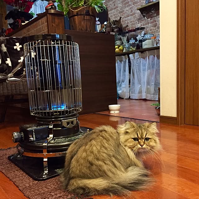 butachanさんの実例写真