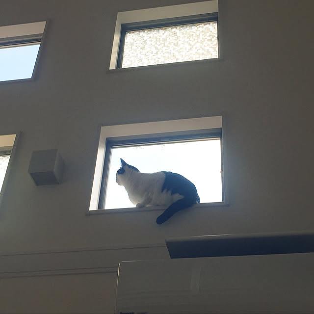kazumiさんの実例写真