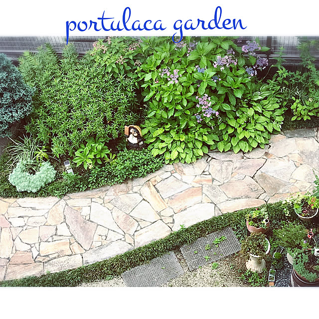 portulacaさんの実例写真