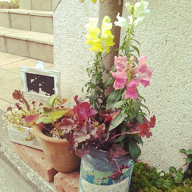 akr29さんの実例写真