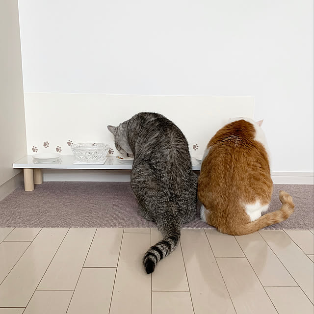 bikkeさんの実例写真