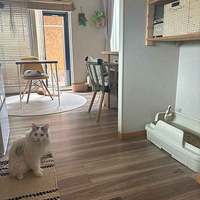 miwaさんの実例写真
