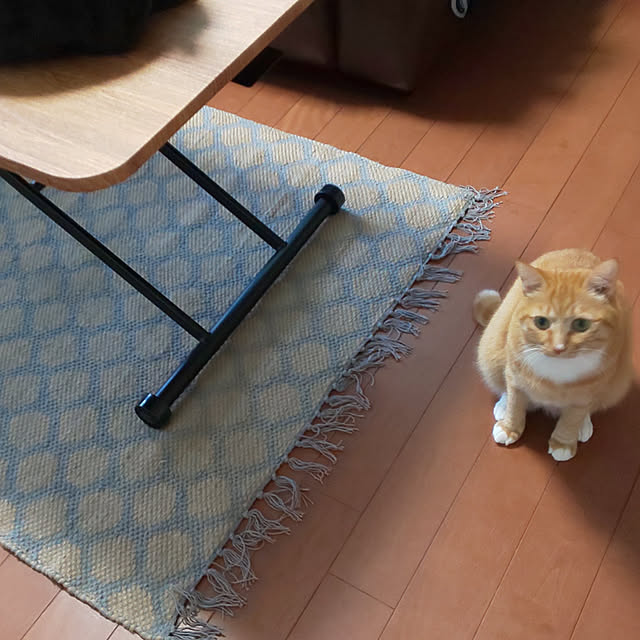 Hanamayさんの実例写真