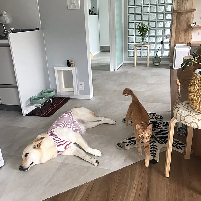 mtkさんの実例写真