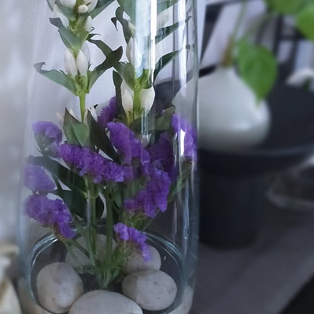 jinさんの部屋