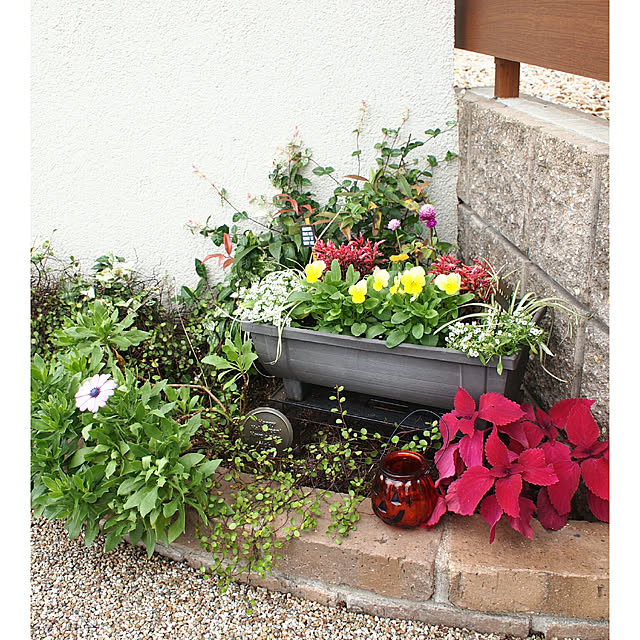 yunohaさんの実例写真