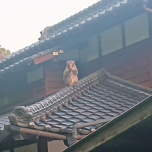 koppeさんの実例写真