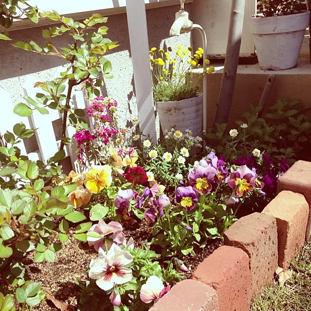 Nanaさんの実例写真