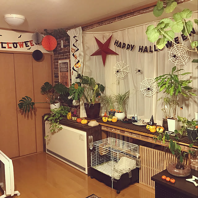 kayo103さんの実例写真