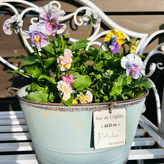 sunabaさんの部屋