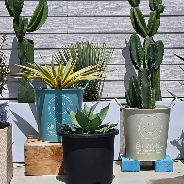 nonbiri_house_さんの部屋