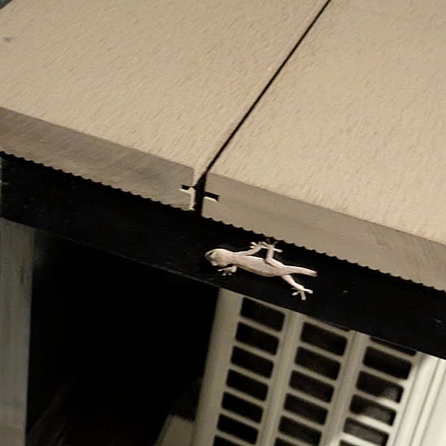 katsuoさんの部屋