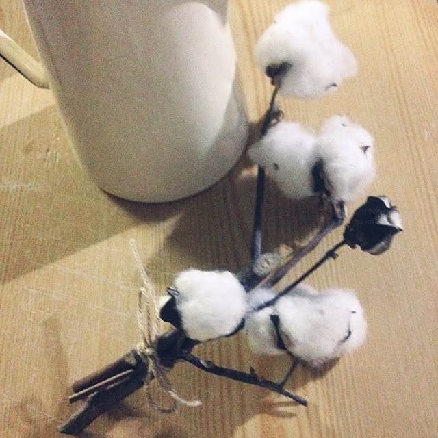 Akemiさんの実例写真