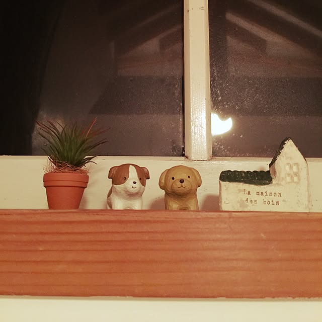 kittさんの実例写真