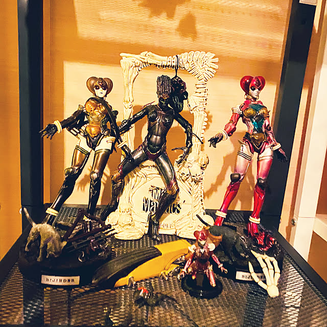 toshikunzebraさんの実例写真