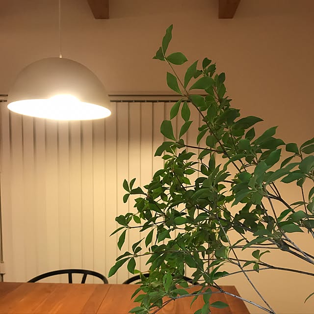 k_t_k_3さんの実例写真