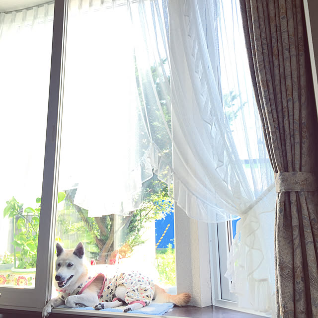 hanamizukiさんの実例写真