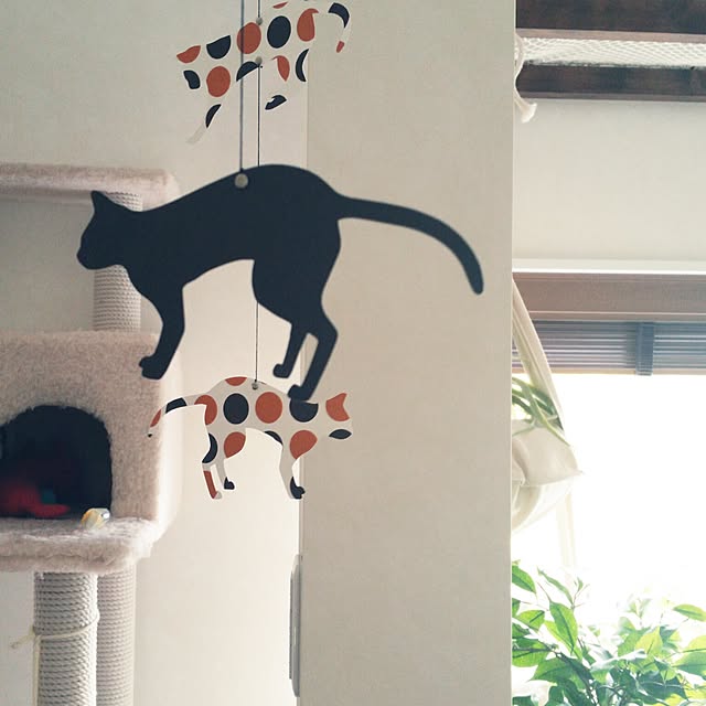 nekogurumaさんの実例写真