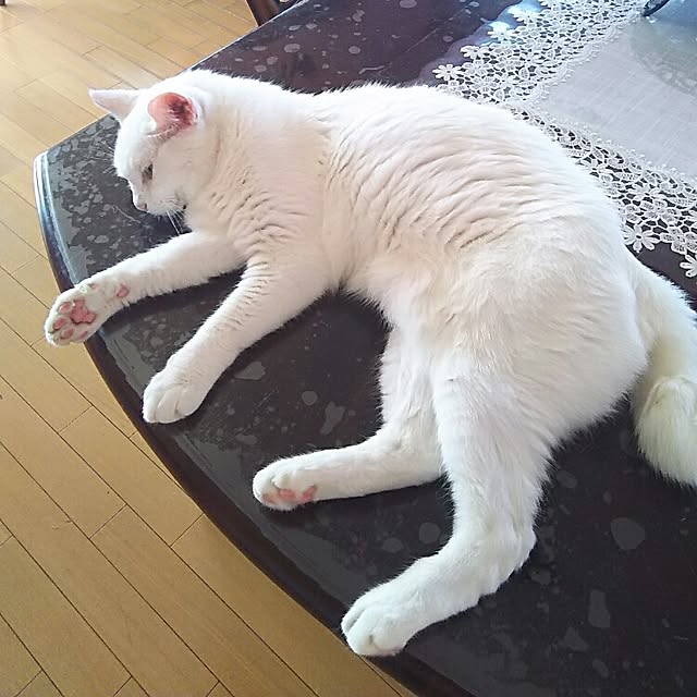 sakuraさんの実例写真