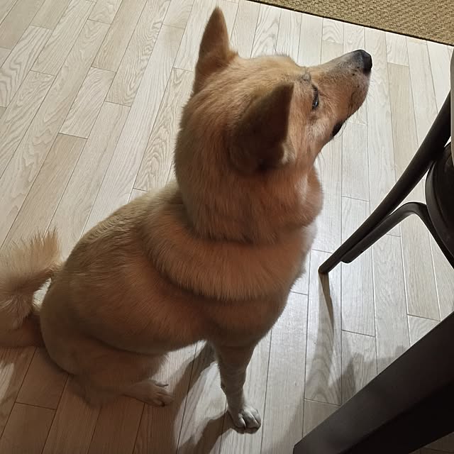 leonaさんの実例写真