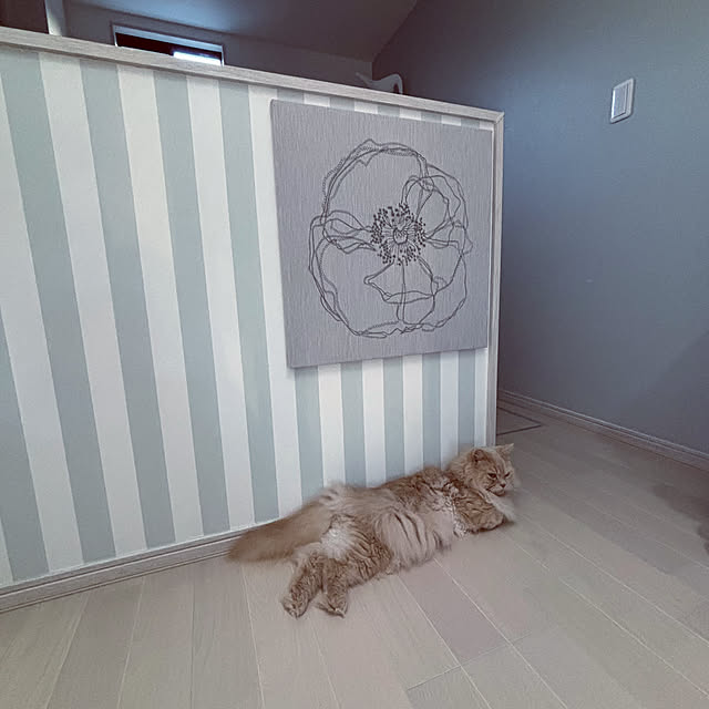 mouseさんの実例写真