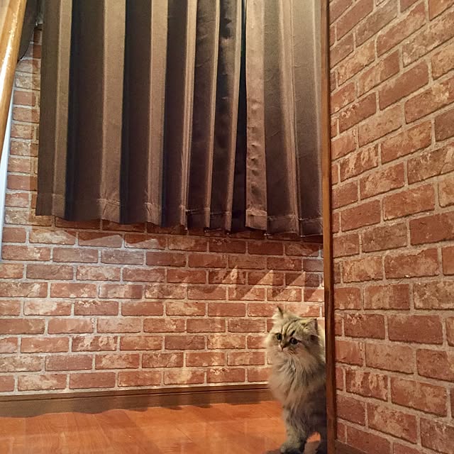 butachanさんの実例写真