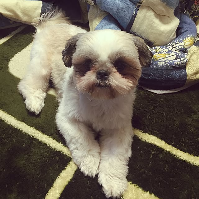 Kanamiさんの実例写真