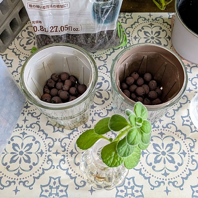 mi-saさんの部屋