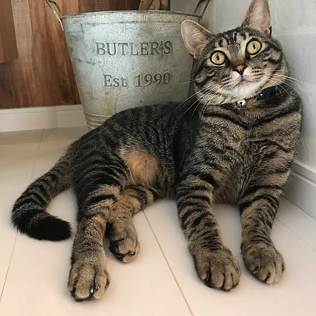 mmeeronさんの実例写真