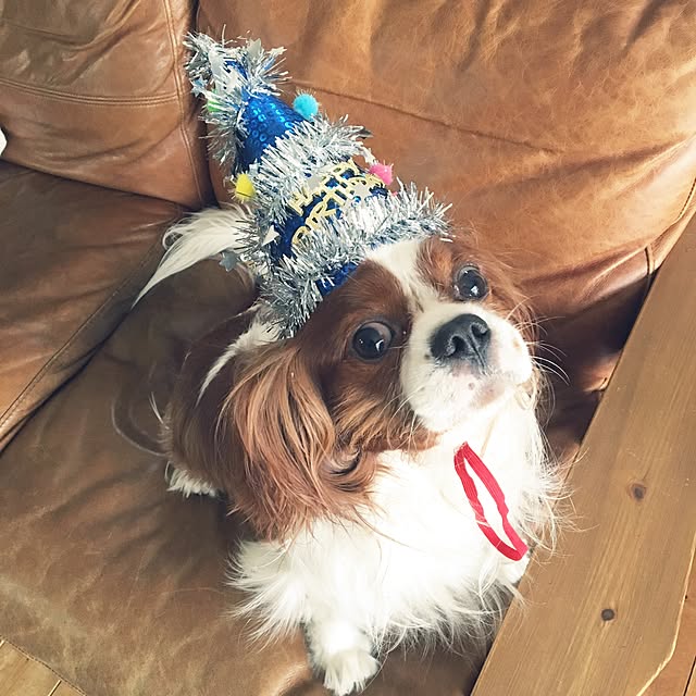 miyaさんの実例写真