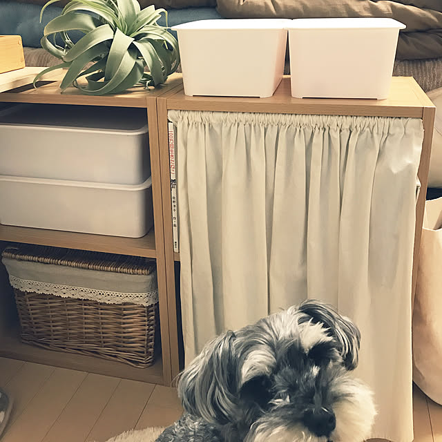 tamaeさんの実例写真