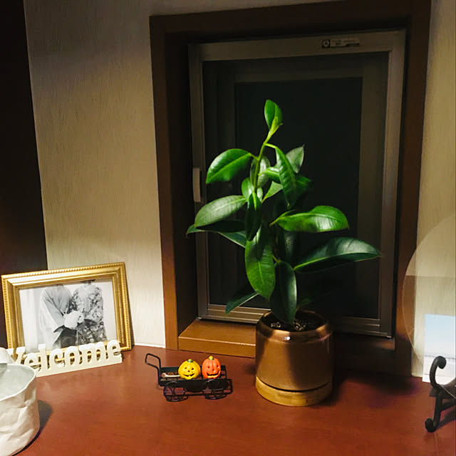 bon.voyageさんの実例写真