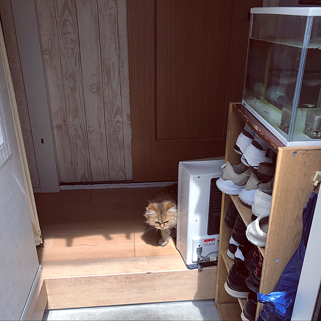ayuさんの実例写真