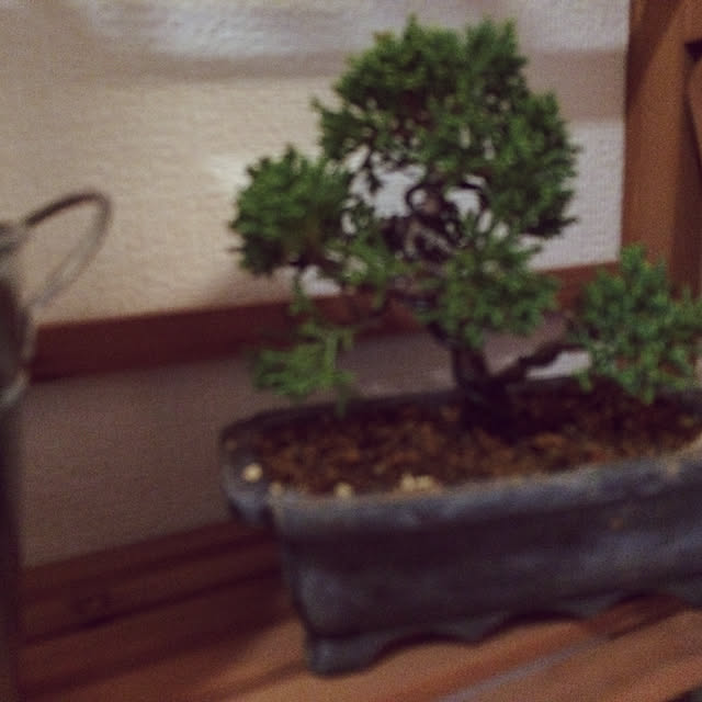 TAKEさんの実例写真