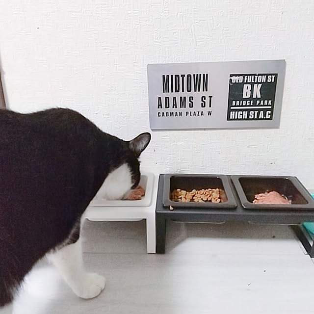 yuuさんの実例写真