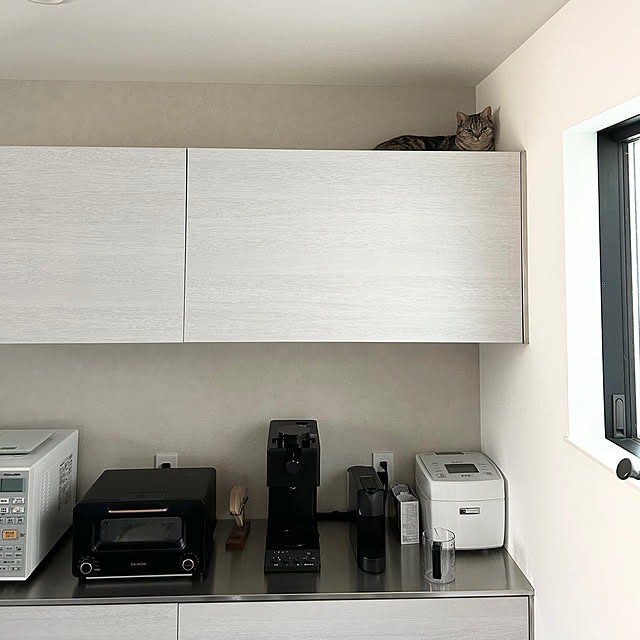 キッチン/ねこ/キャットタワー/キャットウォーク/狭小住宅...などのインテリア実例 - 2023-09-17 14:27:59