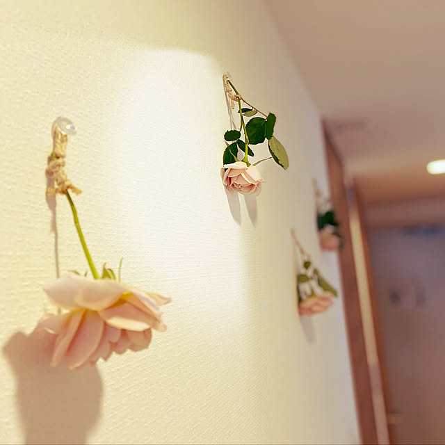 878neさんの実例写真
