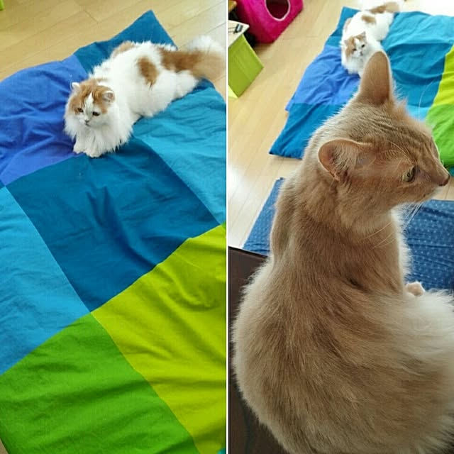 1ldksさんの実例写真