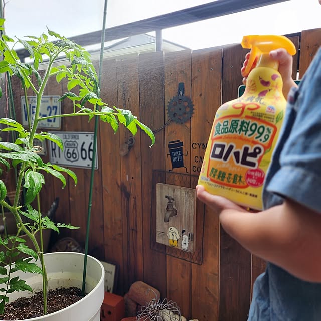 CYNOSさんの実例写真